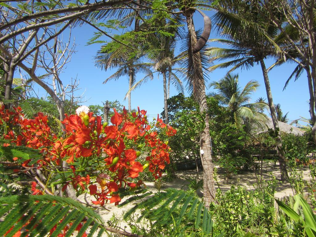 Pousada Flamboyant Barreirinhas Exterior foto